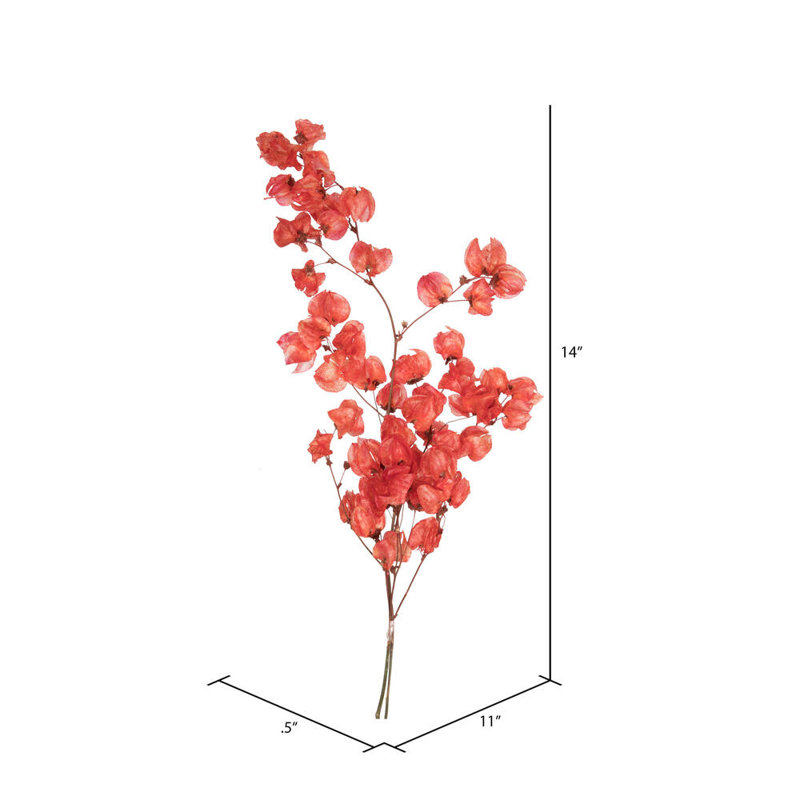 Preserved Cara Blossom Arrangement, Red