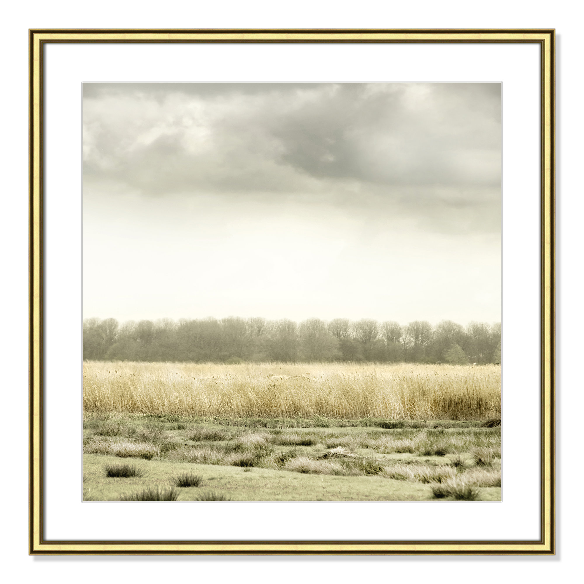 Meadowland by Danita Delimont - Picture Frame Photograph, Gold, 27.5" H x 27.5" W 