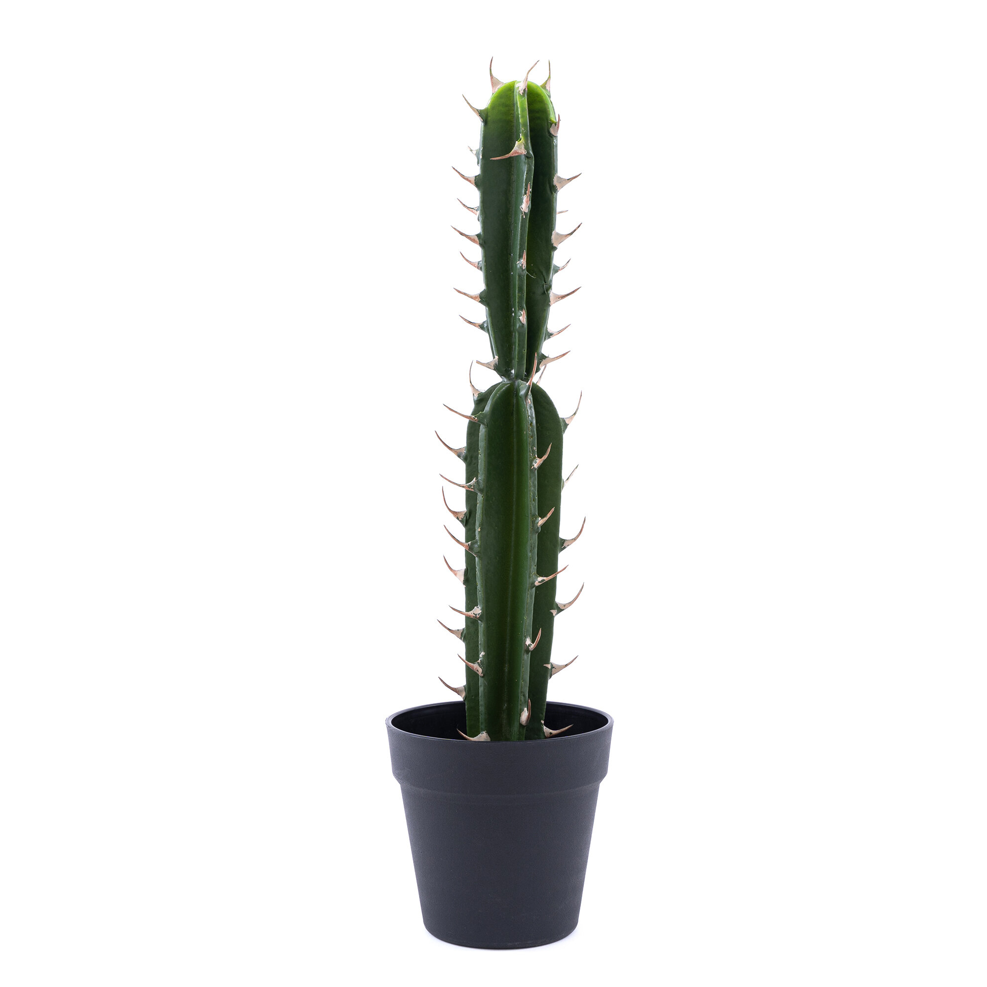 Primrue 21'' Faux Cactus Plant in Pot | Wayfair