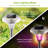 4 Piece Color Changing Lights Solar Yard Lights Landscape Lights