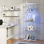 Display Cabinet-281908190