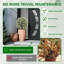 60 cm H Faux Plant-2106428437