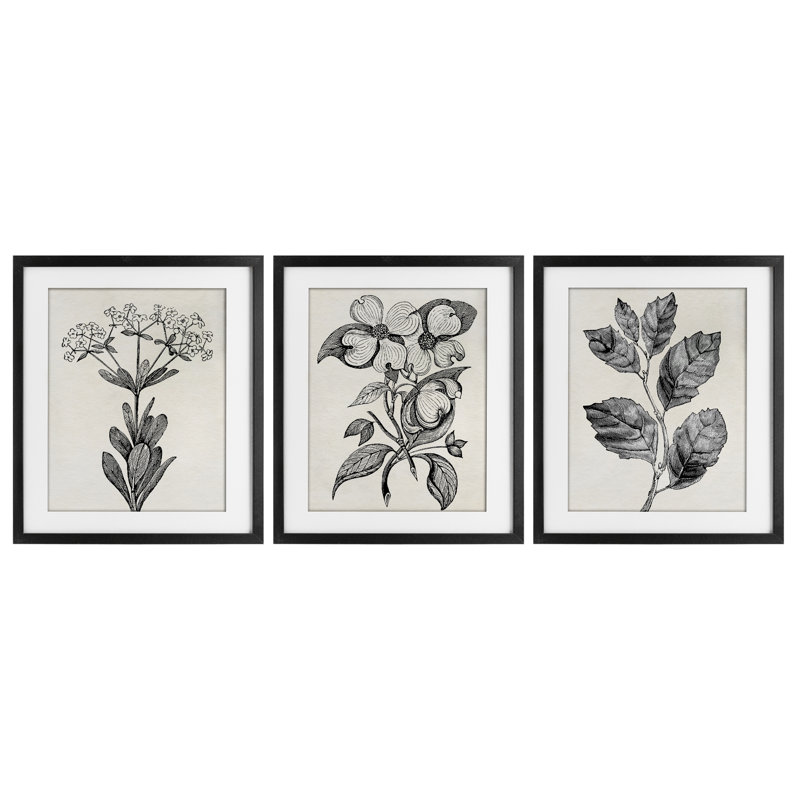 Ensemble de 3 reproductions encadrées sous verre Classic Natural Botanicals, design par Karen Smith, H 16 po x l 39 po