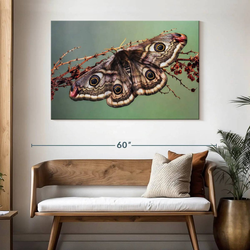 Crowle Emperor Moth, 32" H x 48" W
