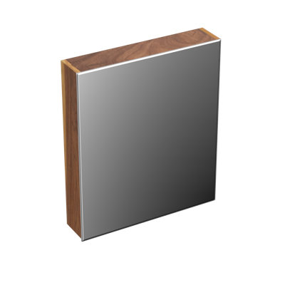 Leonhardine 59.5cm x 125cm Surface Mount Mirror Cabinet