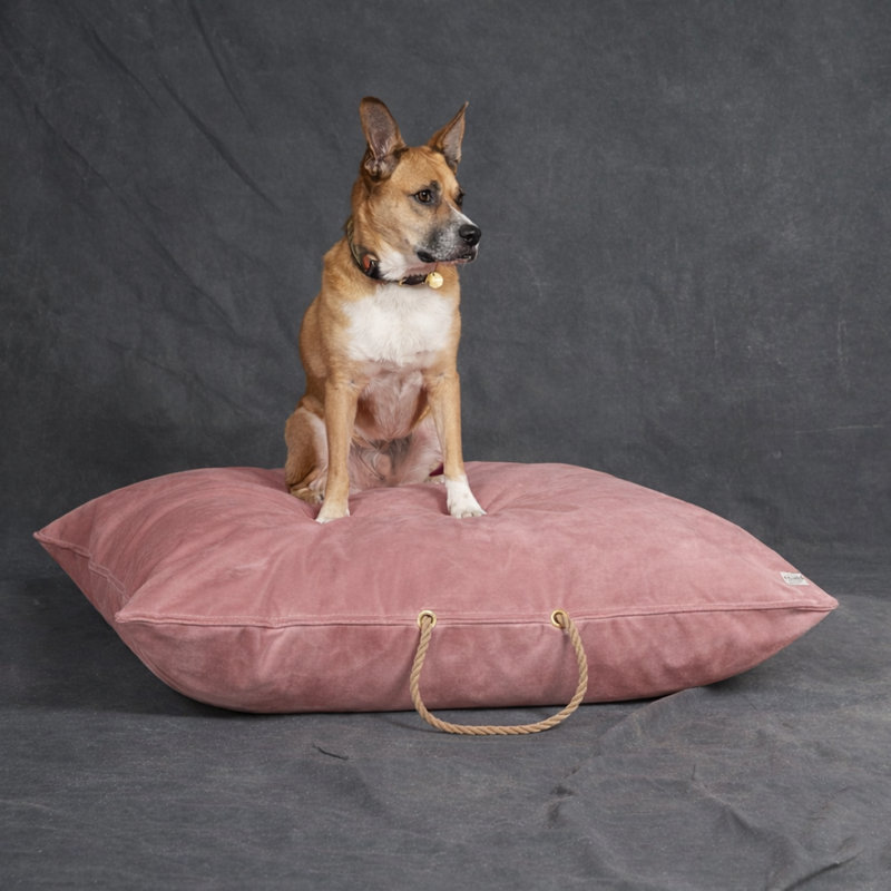  Lit pour chien, velours rose moyen lavable, Rose, L 30 po x l 30 po
