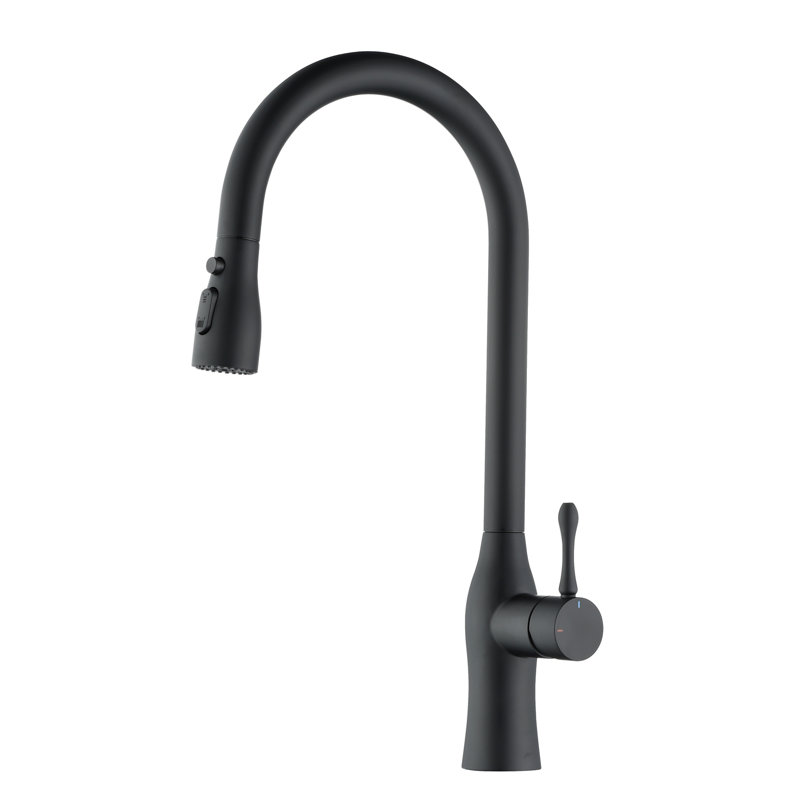 Pull-Down Single Handle Kitchen Faucet In, Black
