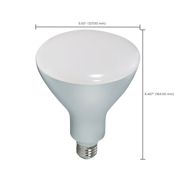 13 watts (équivalent à 85 watts), DEL BR40, ampoule à intensité variable, culot E26 / moyen (standard), 5000 K