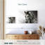 Cheval arabe monochromatique Brampt-108696025