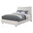 Capra Solid Wood Low Profile Standard Bed-671229236