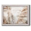 «Duan Soft Pampas Breeze», photographie sur toile-452724166