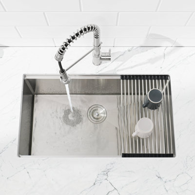 Stainless Steel Kitchen Sink