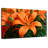 Harnek Orange Lily Flowers-108906439