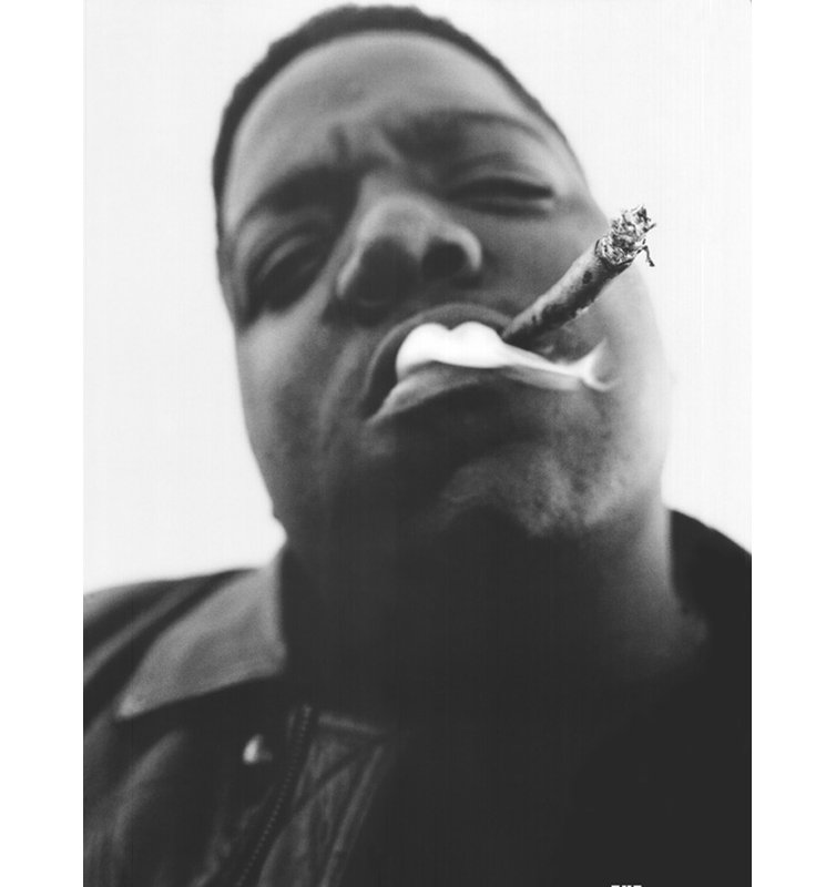 Notorious B.I.G. - Smoke, 24" H x 18" W