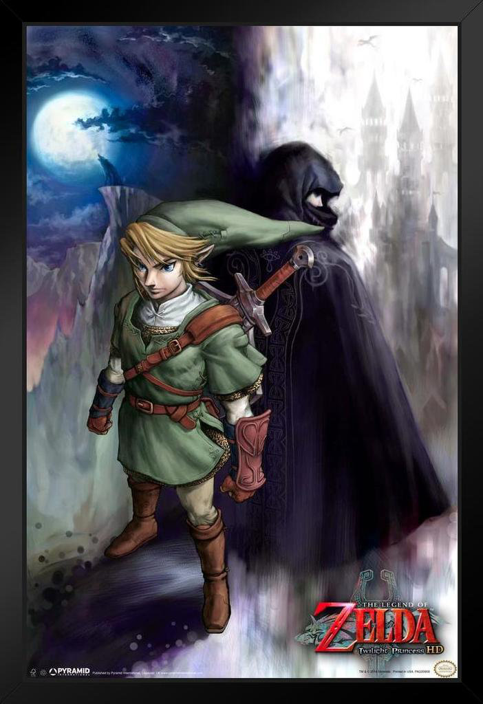 Link  Link twilight princess, Zelda twilight princess, Twilight