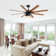 Ceiling Fan With 6 Speed Wind 8 Dual Colours Blades Remote Control Reversible DC Motor With Light