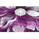 Duraisamy Floral Indoor Rug