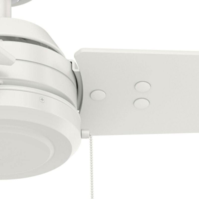 52" Cassius 3 - Blade Outdoor Standard Ceiling Fan with Pull Chain, Fresh White