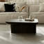 Table basse brune avec placage en bois véritable et contreplaqué-1882847627-1882847733