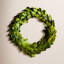 Preserved Boxwood 6" Greenery Wreath