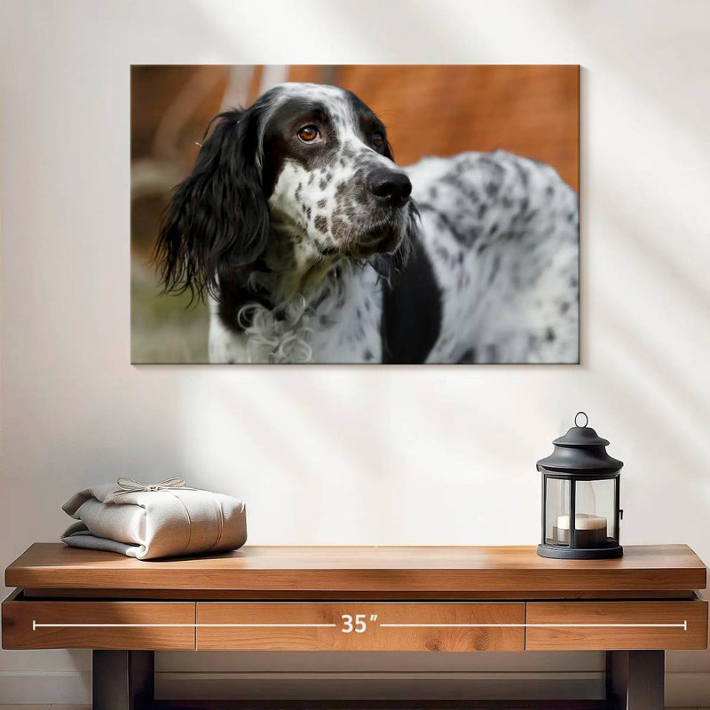 Crowle Spotted English Setter