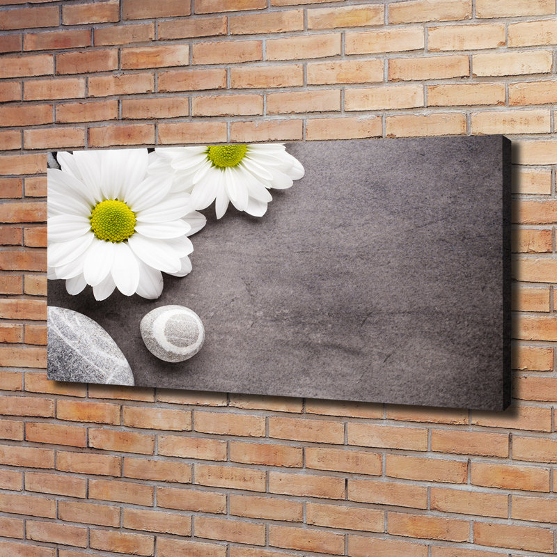 Gerbera - Wrapped Canvas Print
