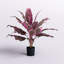 Cordyline en pot Real Touch-960357734-1056295471