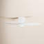 Ventilateur de plafond avec lumières DEL Aisling-88061694-88061693-88061688