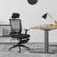 Fauteuil de direction ergonomique Terramuggus
