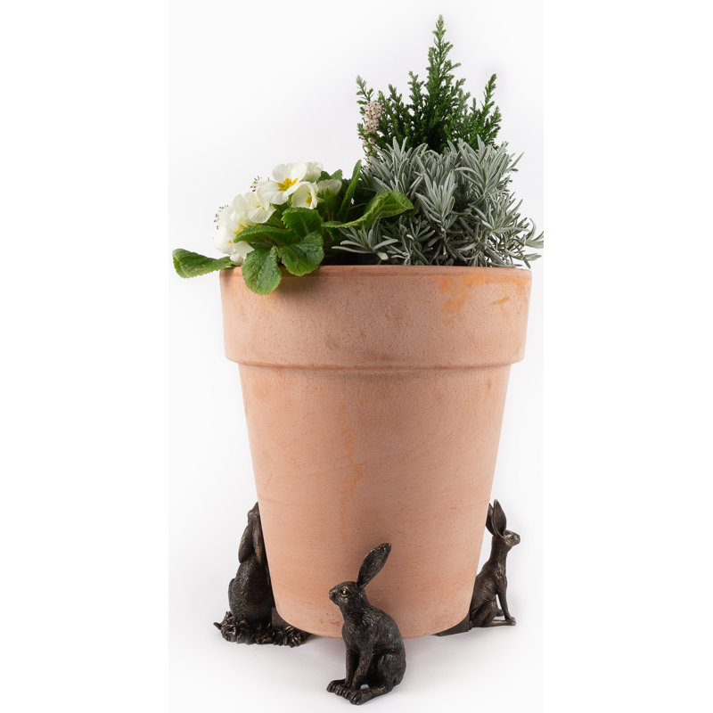 Drove of Hares Planter Feet