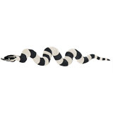 Schumacher x Charlap Hyman & Herrero Serpiente Rug