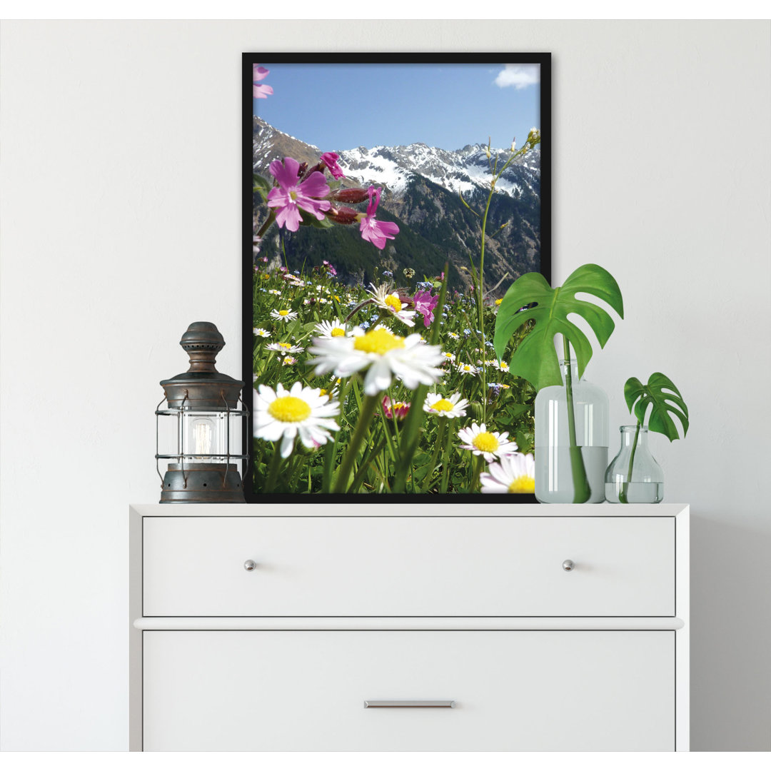 Gerahmtes Poster Wunderschöne Blumen Alpenwiese