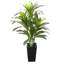 Artificial Dracaena Tree-1500485916