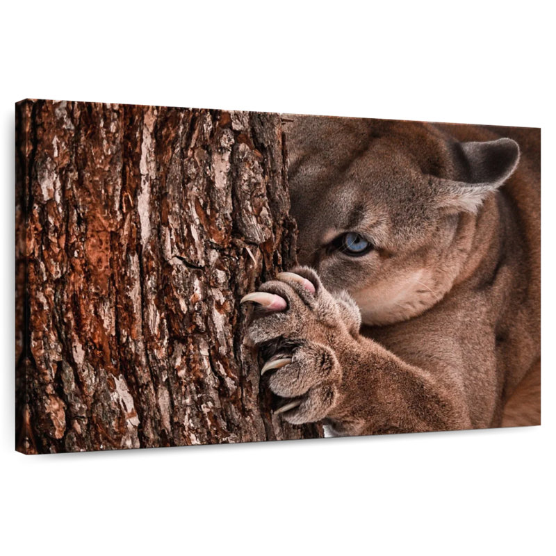 Brampt Peaking Young Cougar, 32" H x 48" W