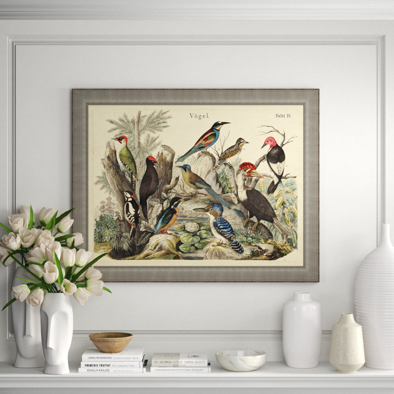 Vogels Aviary 1 Print