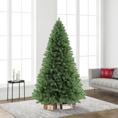 90' Fir Christmas Tree