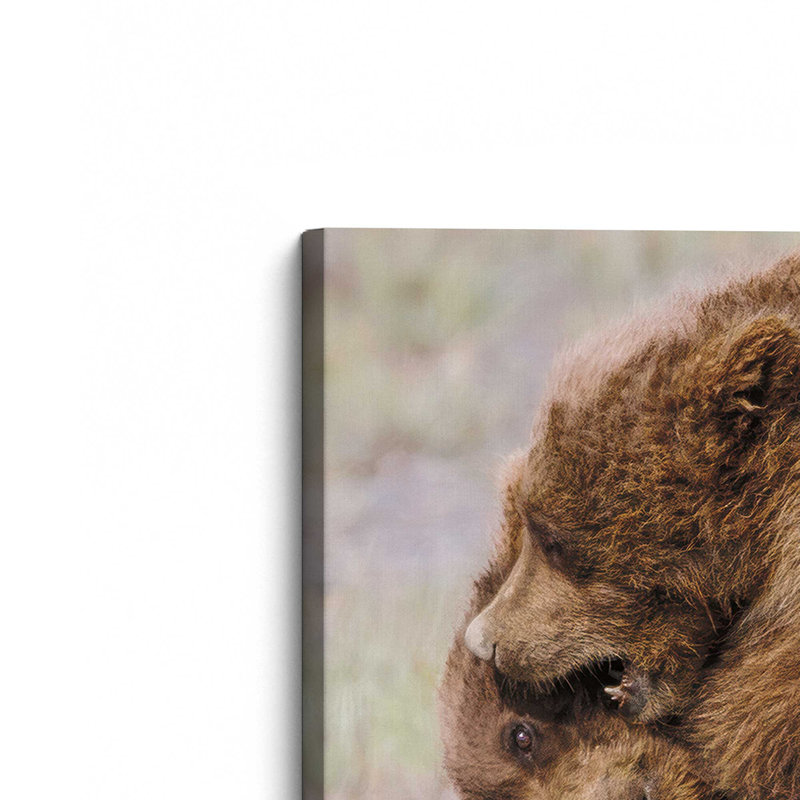 Bear Hug by Nathan Larson Art Print, 12 W x 12 H, Does Not Apply, Unframed Canvas