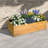 Large Solid Wood Planters, Rustic Natural Raised Bed For Patio Home