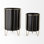 Mercana Pianta (Set of 2) Plant Stand