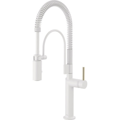 Jason Wu Semi-Professional Kitchen Faucet