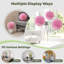 Boules en faux buis 11 po Primrue-735240297