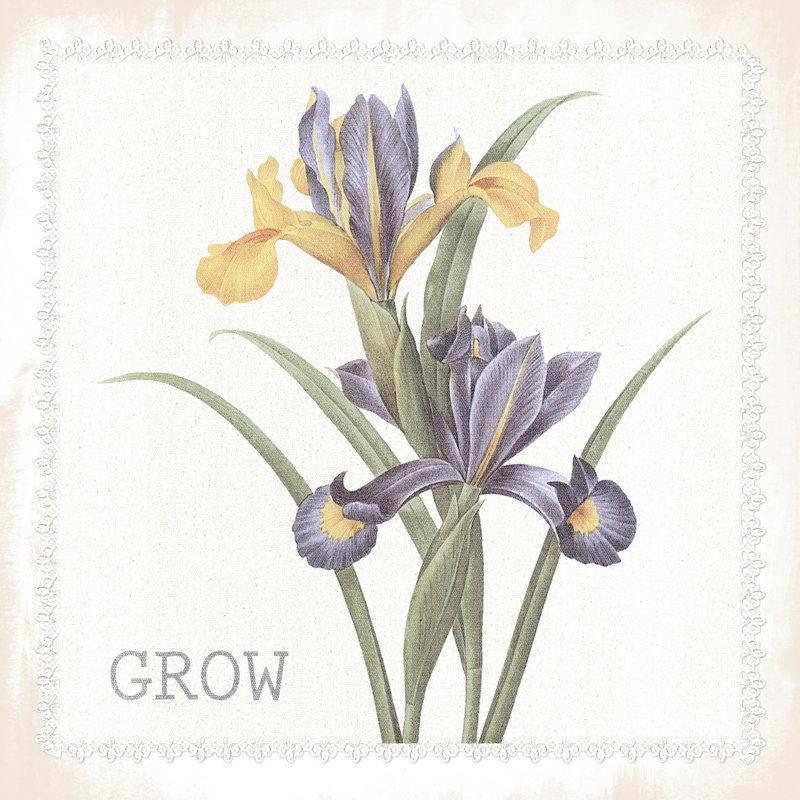Vintage Grow Flower - Wrapped Canvas Print, 30cm H x 30cm W x 3.8cm D