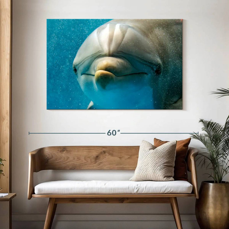 Brampt Nosy Dolphin, 32" H x 48" W