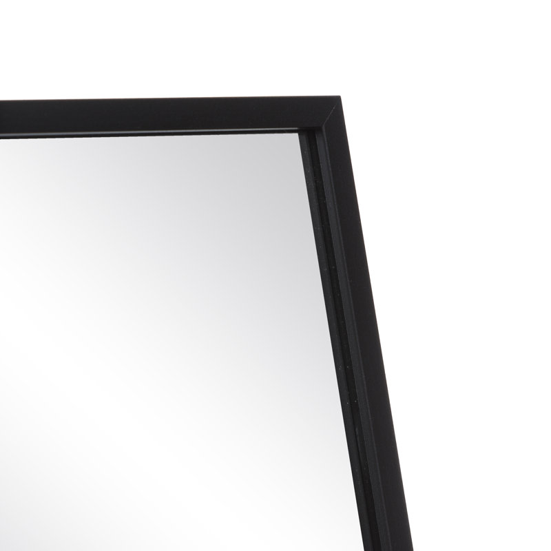 Birpal Metal Flat Mirror, 151cm H x 35cm W x 2.5cm D, Black