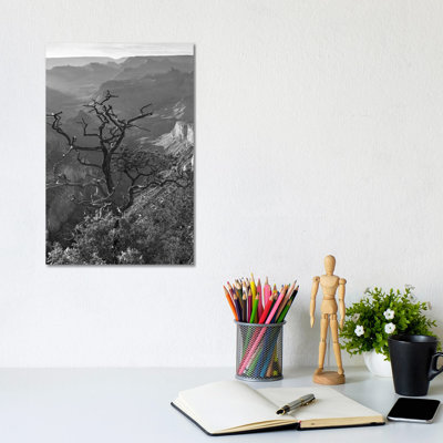 Tree, South Rim, Grand Canyon, Arizona by Tim Fitzharris - Gallery-Wrapped Canvas Giclée on Canvas