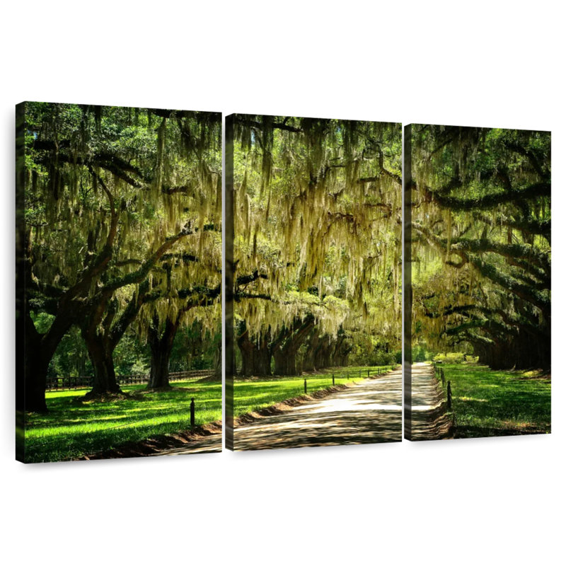 Sireci Dreamy Charleston Park, 20" H x 33" W
