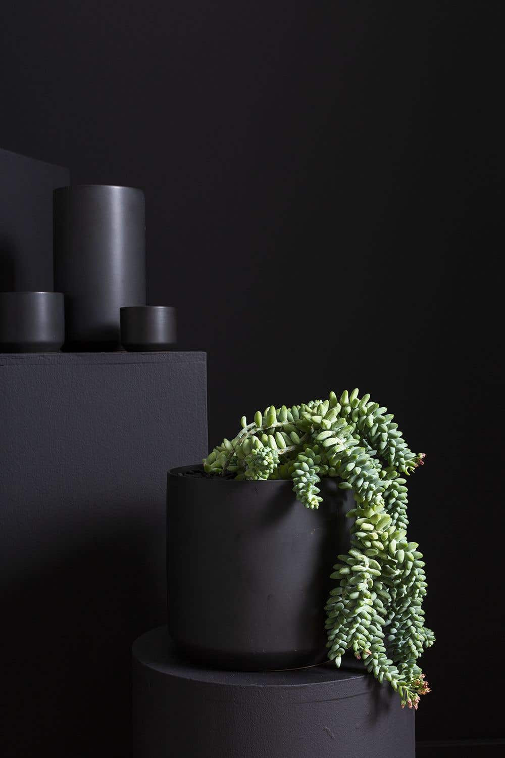 Parsons 12" Ceramic Pot Planter, Black, 6.75" H x 7" W x 7" D