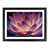 Black Framed selected