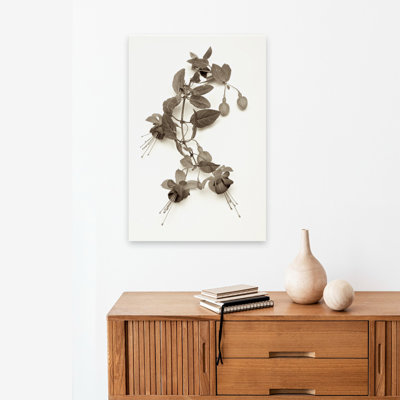 Garden Bloom # 7 - Photographie