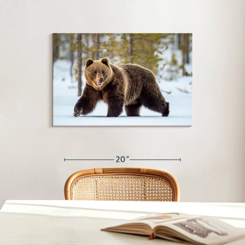 Adulte grizzly, H 16 po x l 24 po